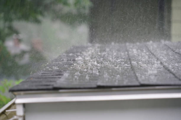 Best Roof Repair  in Gilroy, CA