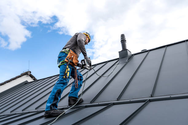 Best Roof Ventilation Installation  in Gilroy, CA